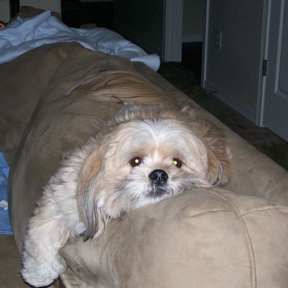 Meet your Posher, Julie - Picture 1 of 2